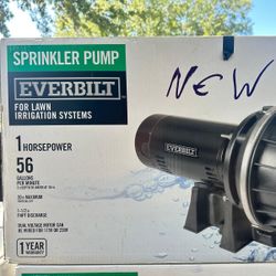 Everbilt 1 HP Plastic Lawn Sprinkler Pump