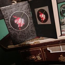 Stephanie Meyer. Book Two Of The Twilight Series  New Moon 