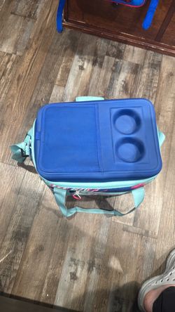 Lunch box/cooler