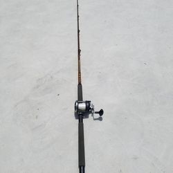 Fishing Reel & Rod 