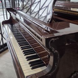 🎹 Ivers & Pond 5ft Baby Grand Piano – Delivery Included 