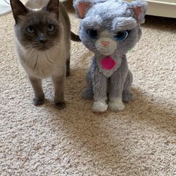 Cat Toy FurReal Friends 