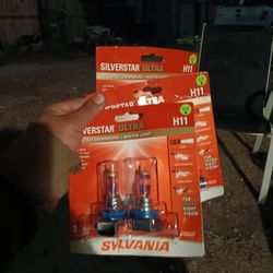 H11 Headlight Bulbs (NEW)
