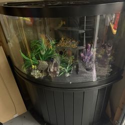 55 Gallon Fish Tank For Sale