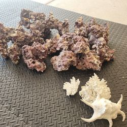 Aquarium Live Rock