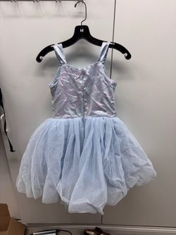 Disney cinderella costume