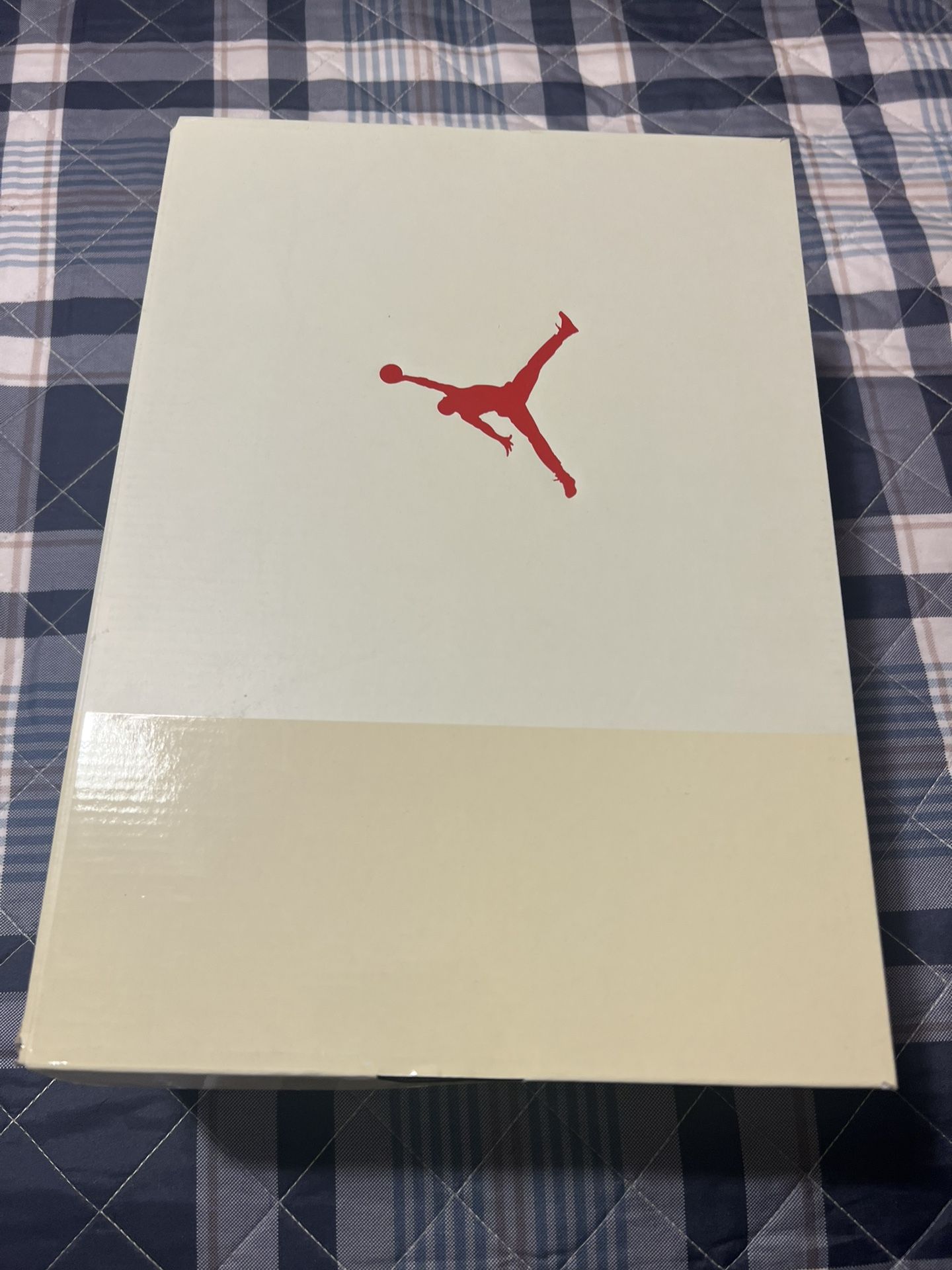Jordan 3 muslin