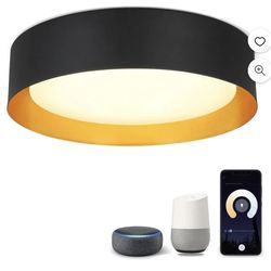 15” Modern LED Flush Mount Ceiling Light Fixture Dimmable Voice Control Light, APP Remote Control