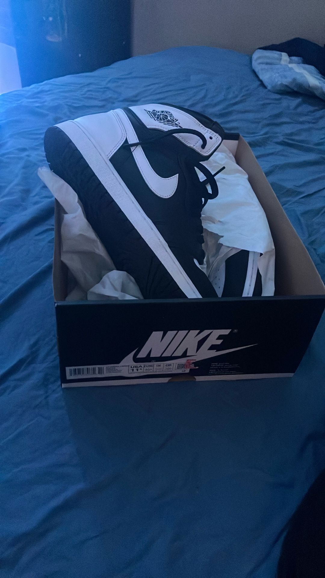 Jordan 1s Retro High Og
