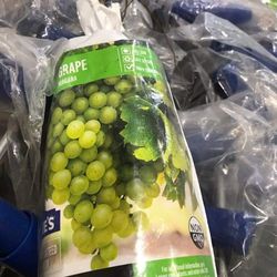 Niagara Green Grape Seedling Plant 1ft Ready To Plant Thumbnail