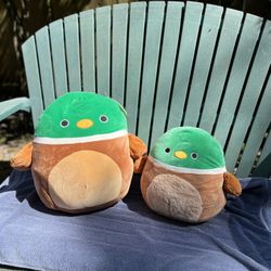 Squishmallow Duck Bundle 
