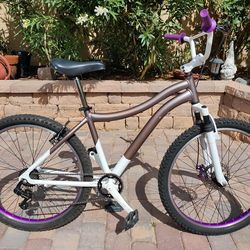 26" mountain bike conversion to BMX