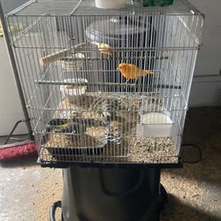 Baratos Canarios Y Putos Si Me Borranel Post 