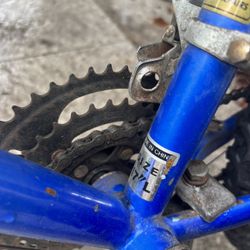 Iron Horse Mountain Bike