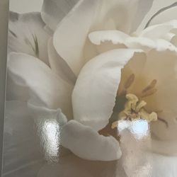 Opening Tulip Wall Art from Target 35X23