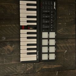 Worlde Midi Keyboard 