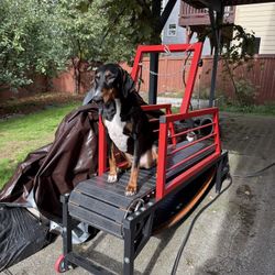 Large Dog Manual Treadmill with Handbrake And Steps
