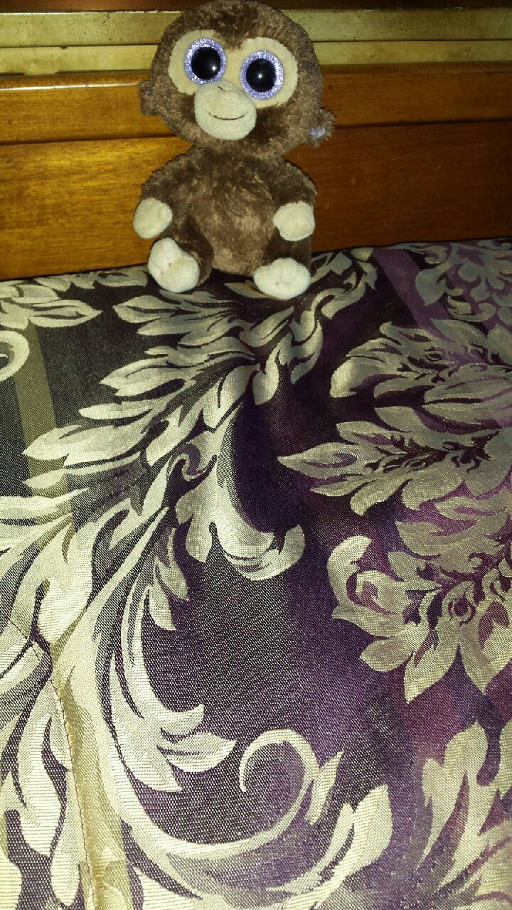 Beanie Boo