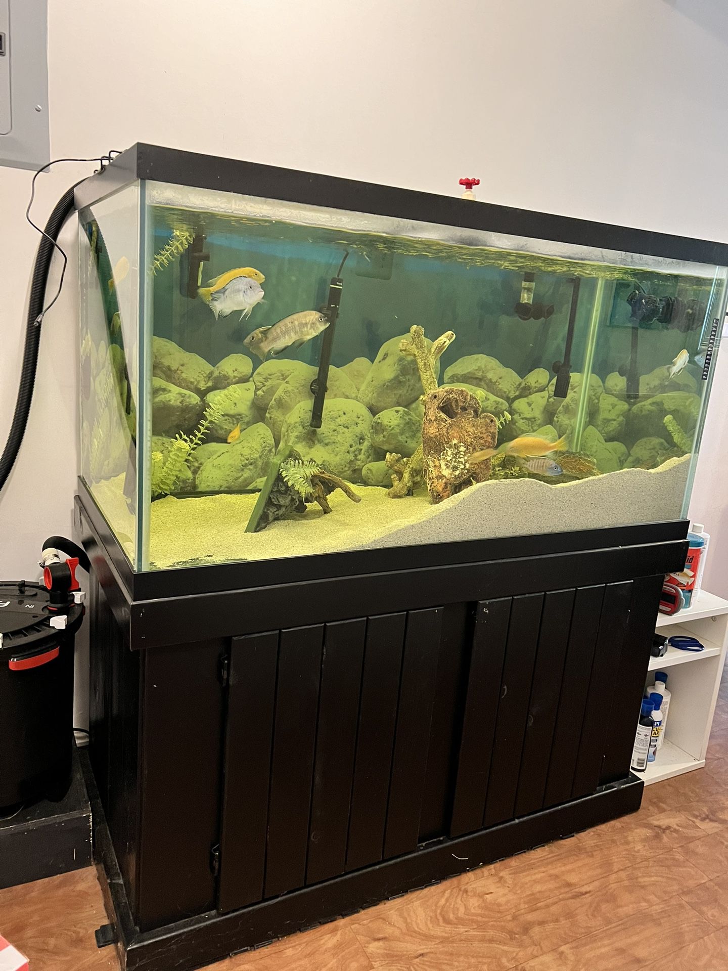 120 Gal Fish Tank Comes With Fx4 Filter, Fluval 409 Filter, Light And Cabinet.