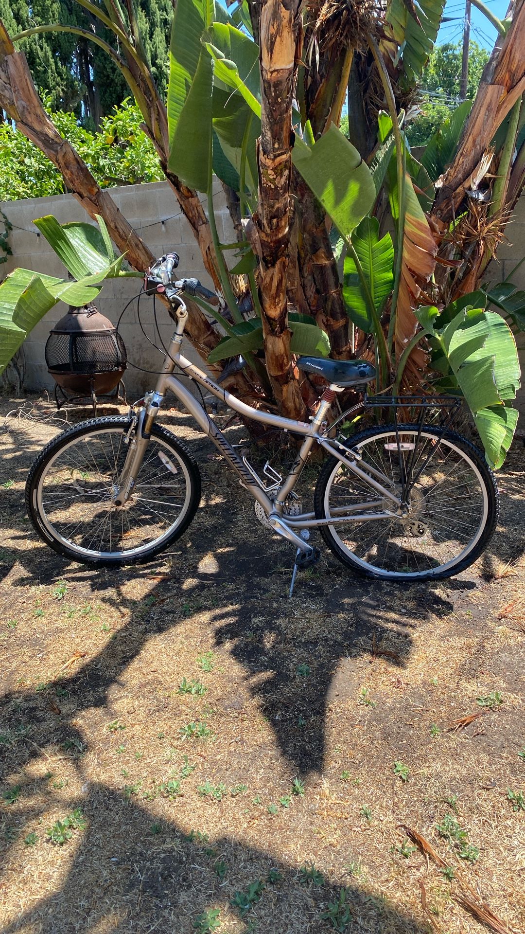 Specialized Expedition Bike