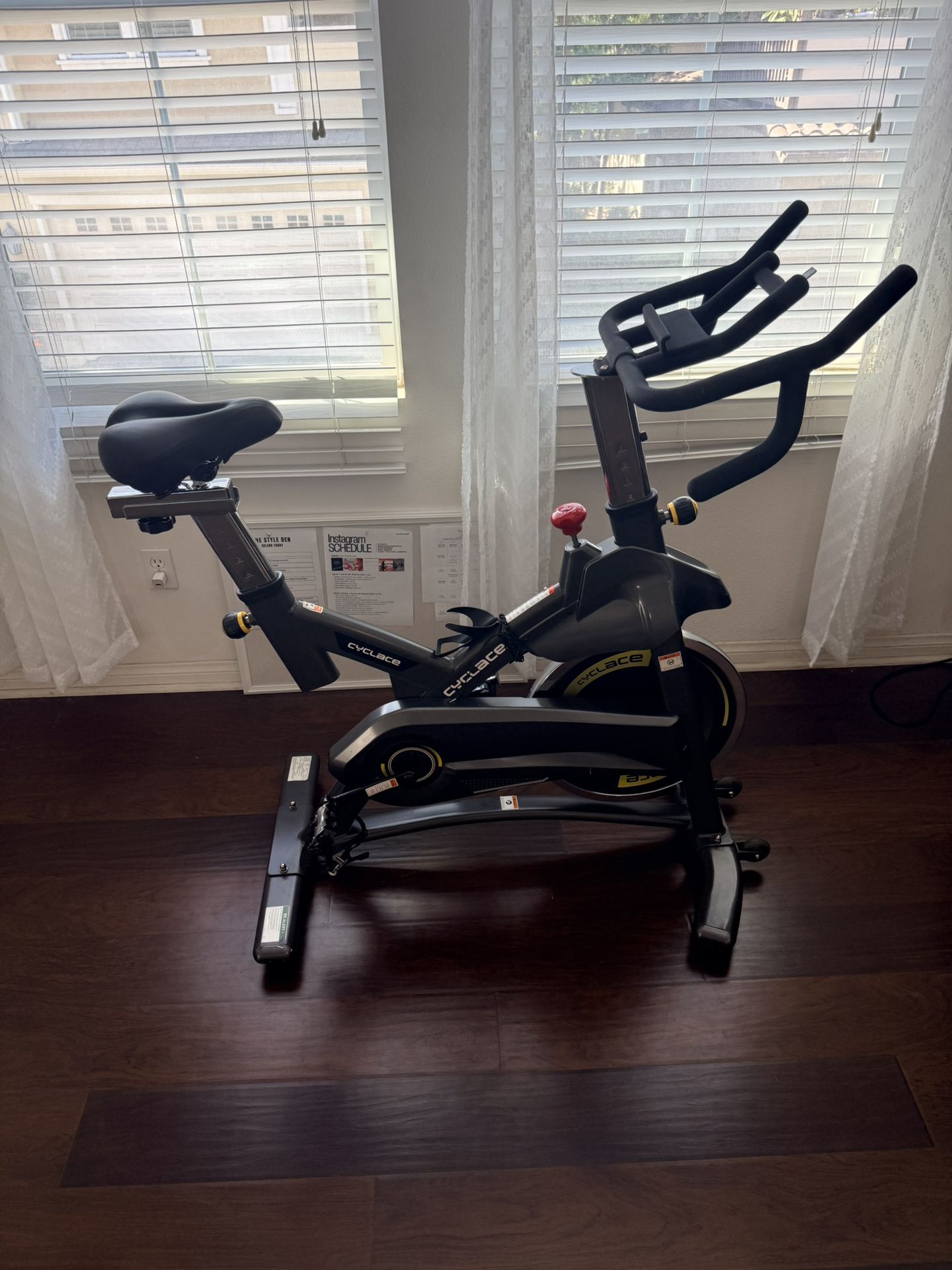 Cyclace Exercise Bike (stationary indoor cycle).