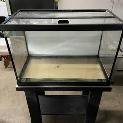 Aquariums And Filters