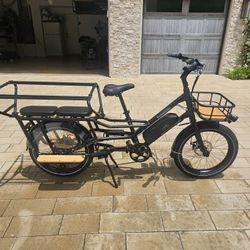 Radwagon 4 Electric Bike