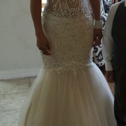 Elegant Dress Style Mermaid