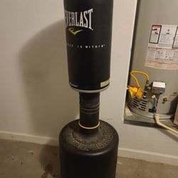 Punching Bag