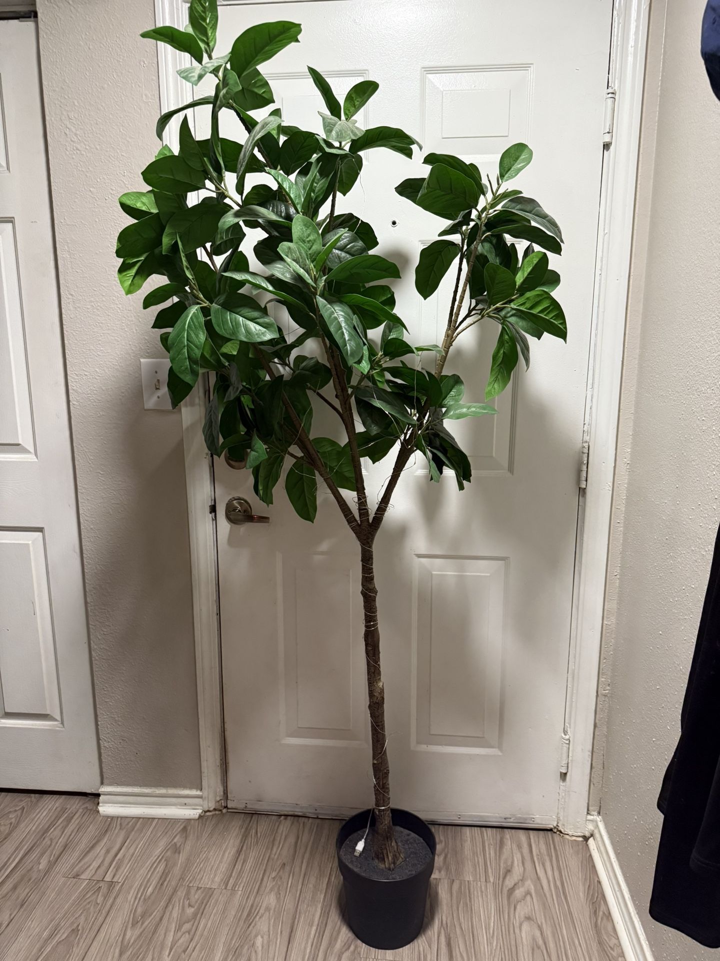 ikea tree pot indoor/outdoor
