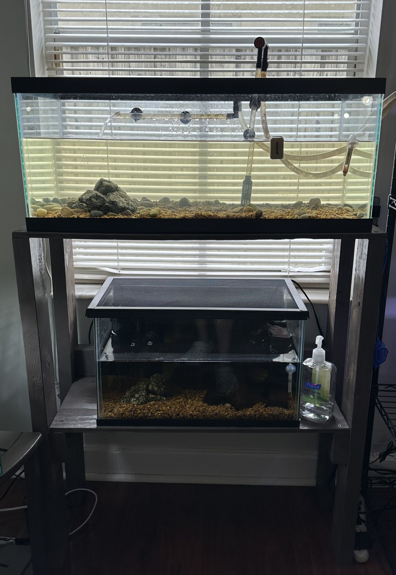 20 Gallon Long Fish Tank With Turtle Filter