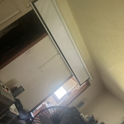 Retractable 100 each projector screen