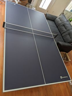 Pingpong table