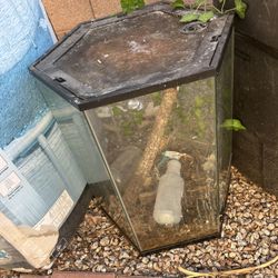 Tall Tank