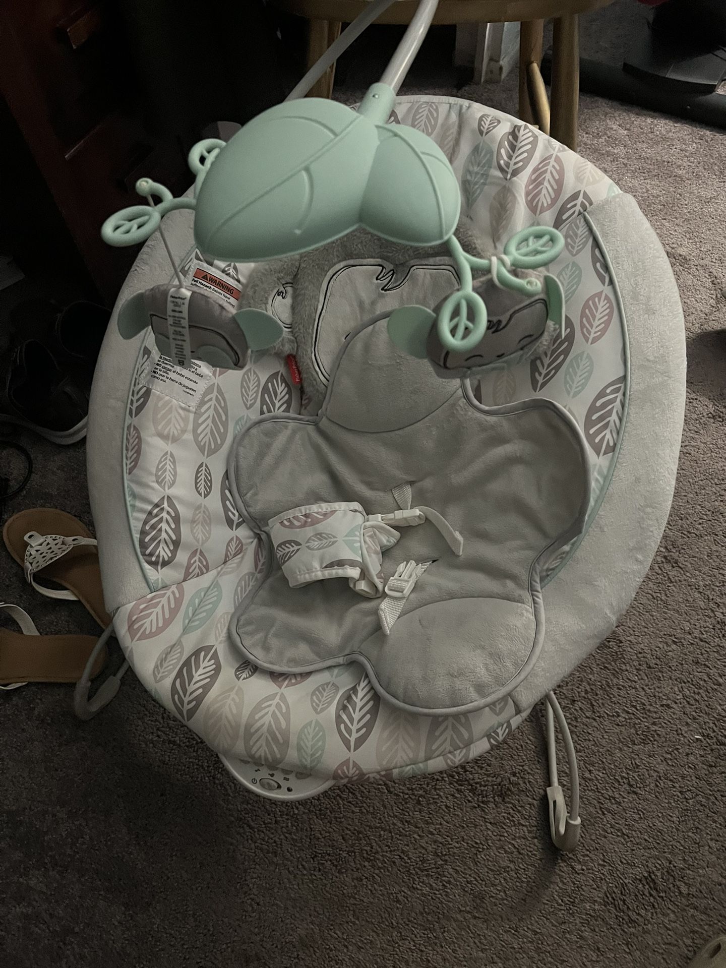 Fisher Price Swing