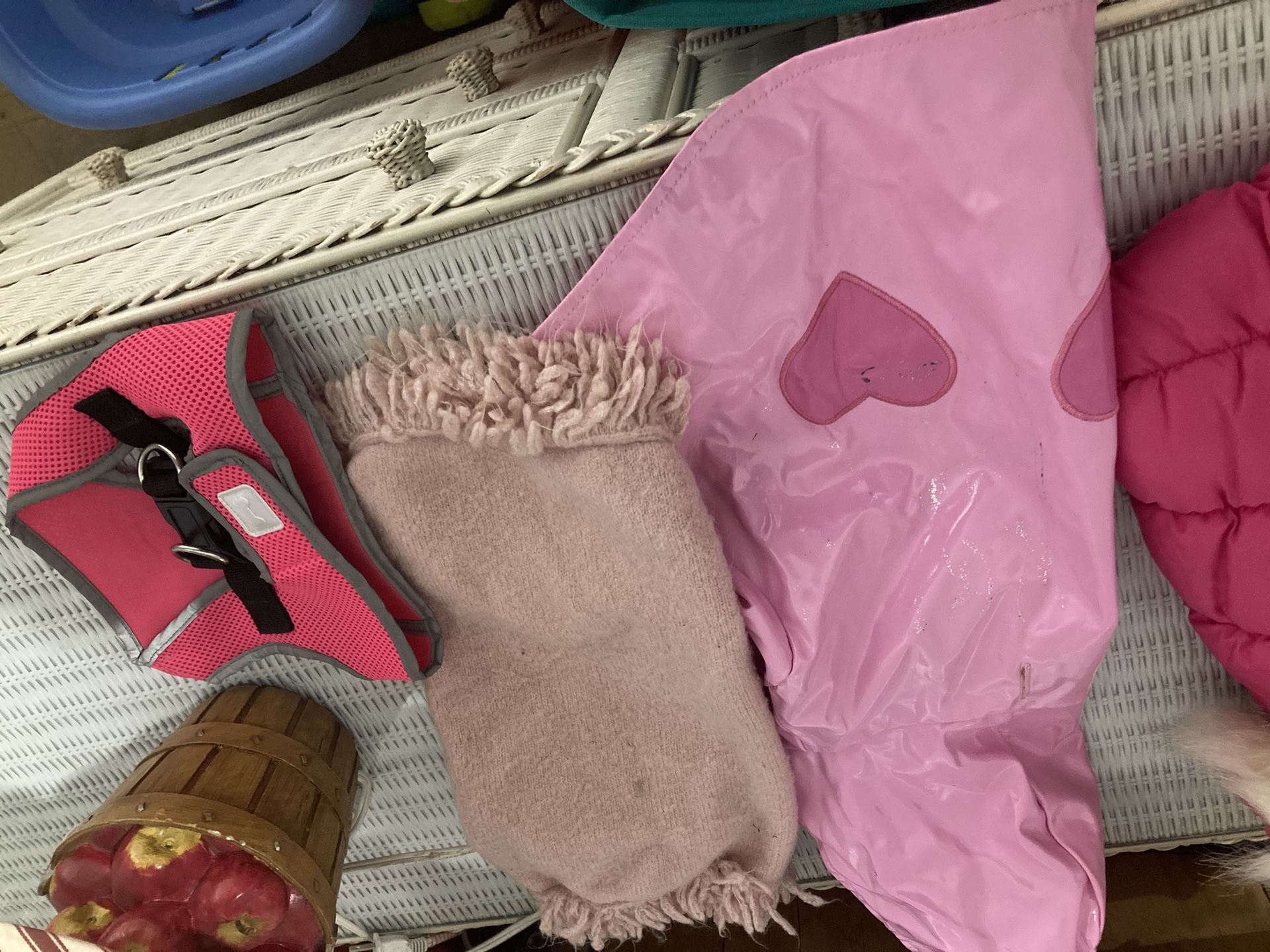 Lots Of Small And Xs Dog Apparel