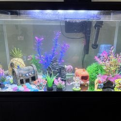 10 Gallon Fish Tank With Water Filter
