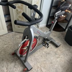 Sunny Exercise Bike