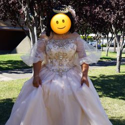 Quinceañera/ Wedding Dress Champagne