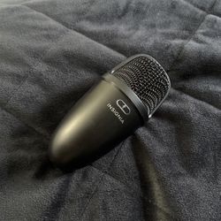 Microphone