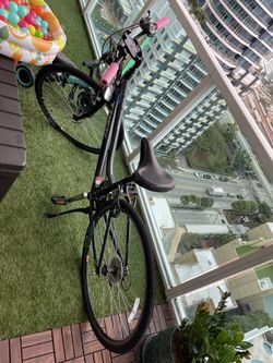 Trek Bike Verve 2