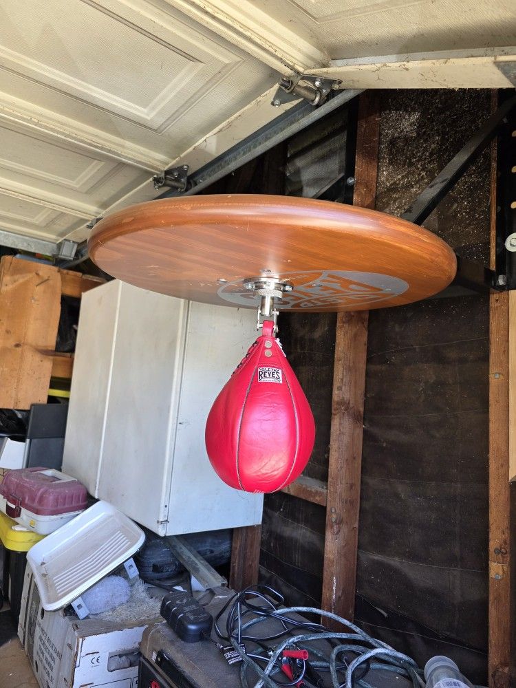 Cleto Reyes Speed Bag