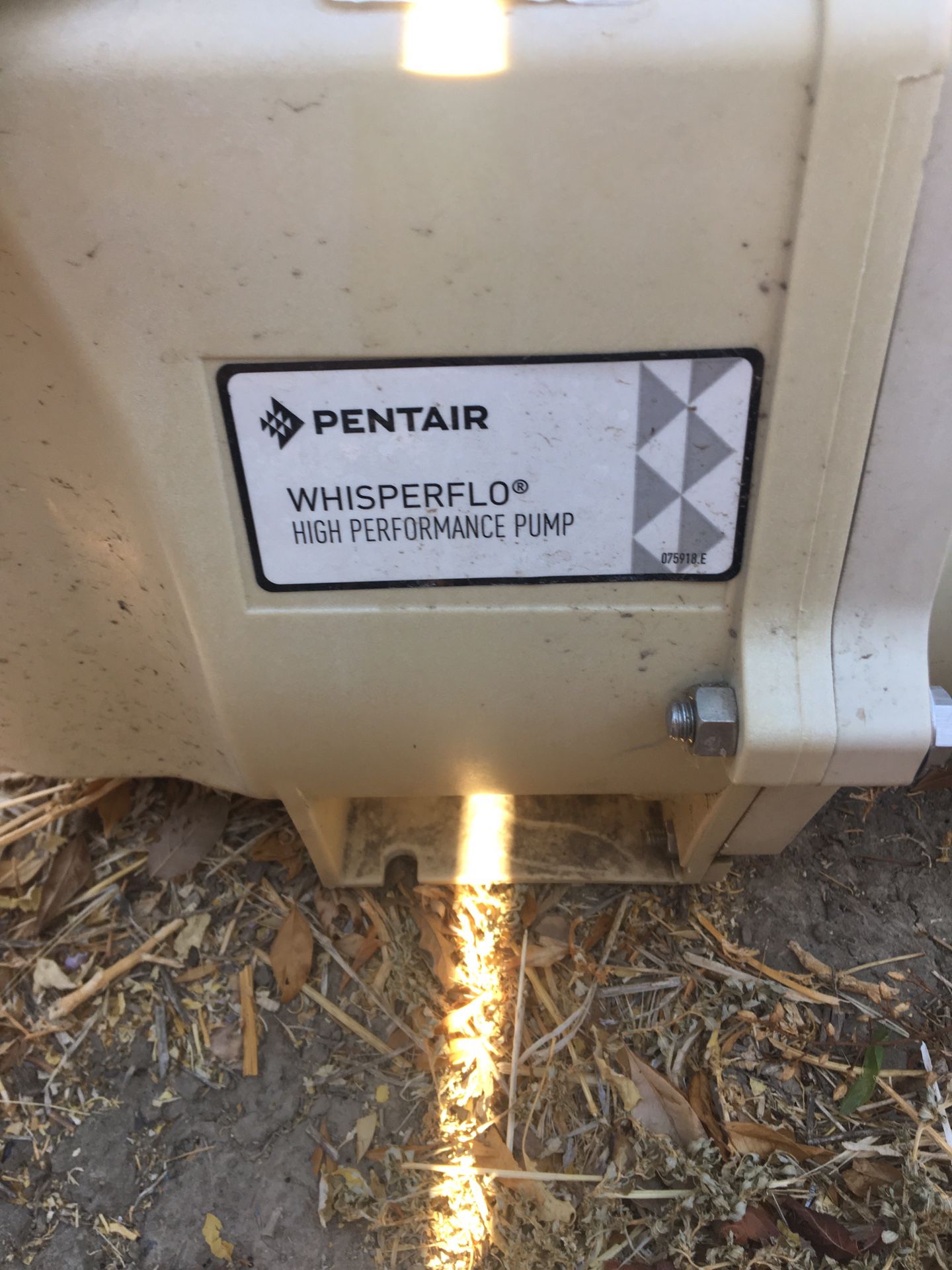 Pentair Whisperflo Pump