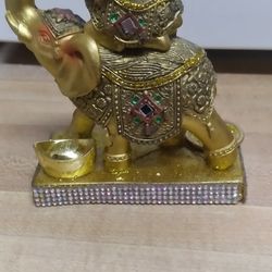 Beautiful Elephant 