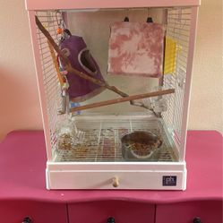 Glass Bird Cage