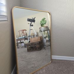 NEW Modern Gold Framed Mirror - Rounded Corner Rectangle Wall Decor