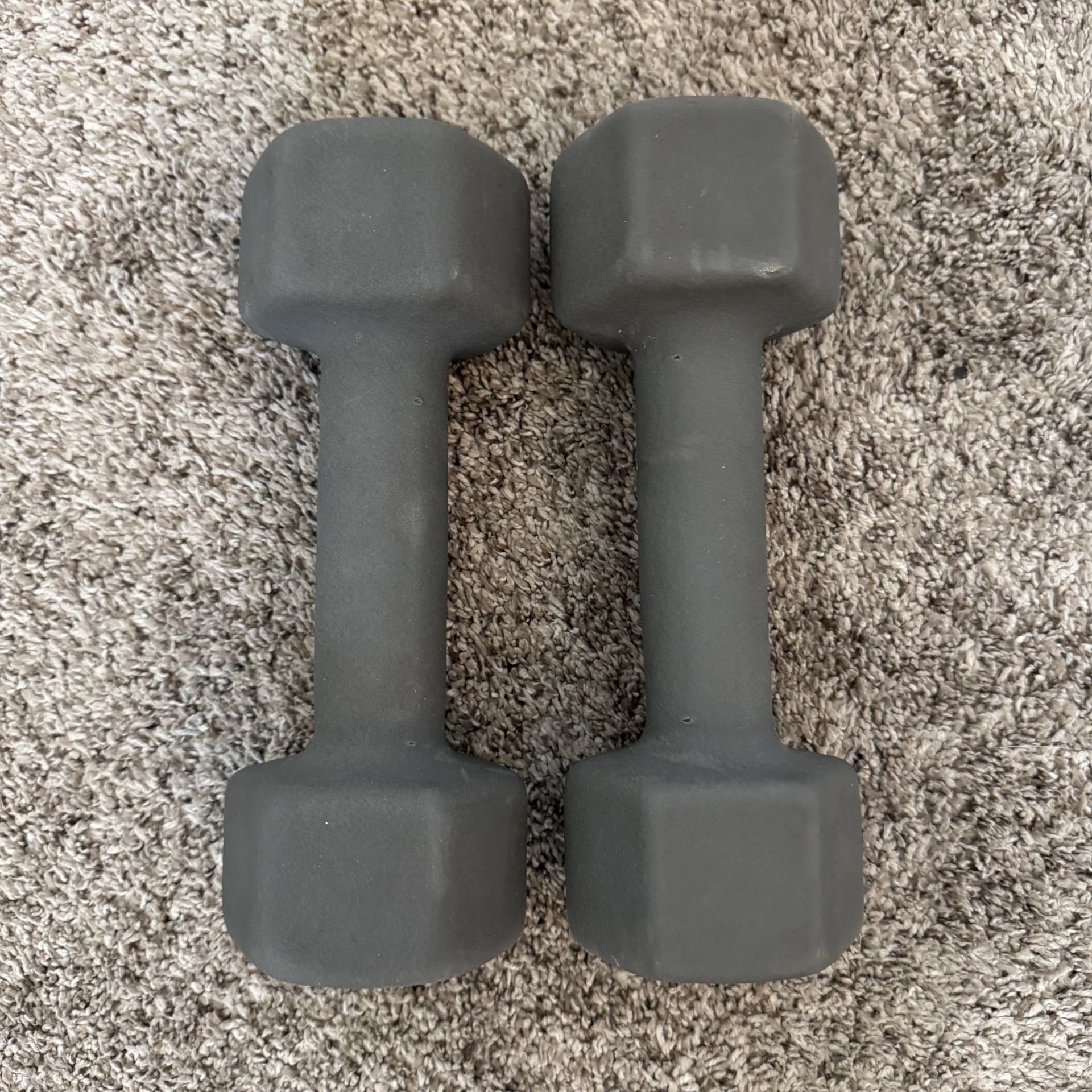 Weights - Workout Equipment - 10 Pounds - Grey - Weight Set