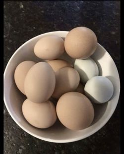 Fresh organic eggs!