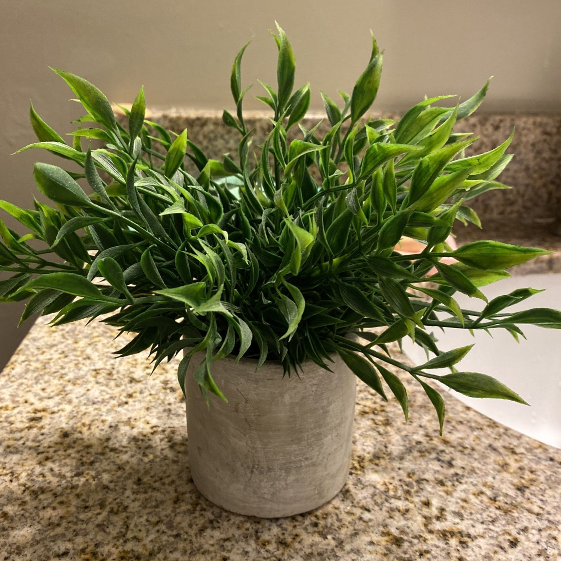 Fake Plant From Marshalls