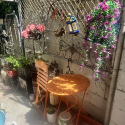 Plants for sale ! Different sizes fair prices